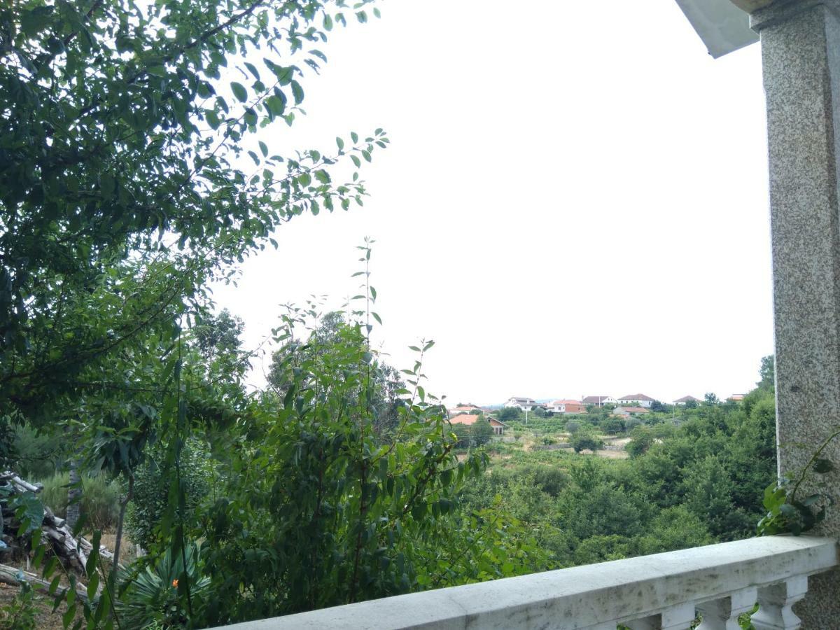 Cantinho do mel Castro Daire Luaran gambar